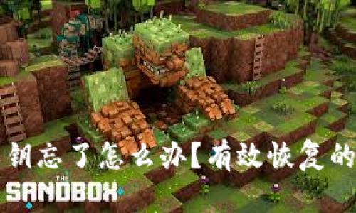 tpWallet私钥忘了怎么办？有效恢复的方法与建议