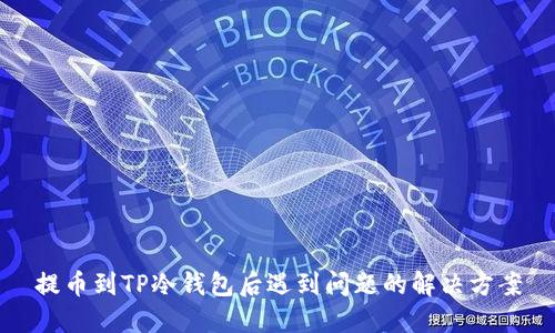 提币到TP冷钱包后遇到问题的解决方案