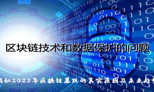揭秘2023年区块链暴跌的真实原因及未来趋势