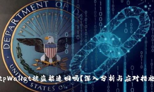 tpWallet被盗能追回吗？深入分析与应对措施
