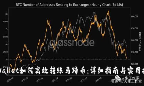 tpWallet如何高效转账马蹄币：详细指南与实用技巧