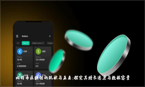 比特币区块链的现状与未来：探究其增长速度与数据容量