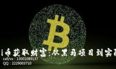 如何通过区块链Pi币获取财富：从黑马项目到实际