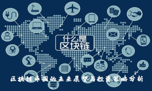 区块链币圈的未来展望与投资策略分析