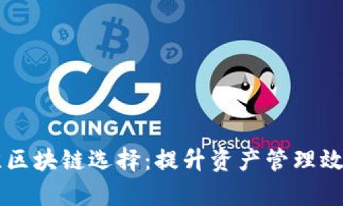 tpWallet最佳区块链选择：提升资产管理效率的终极指南