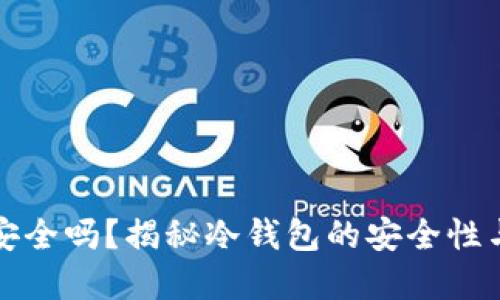 tp冷钱包安全吗？揭秘冷钱包的安全性与使用指南