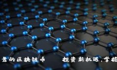 国内最可靠的区块链币——投资新机遇，掌握未