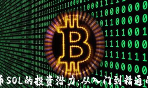 
解锁虚拟币SOL的投资潜力：从入门到精通的全面指南