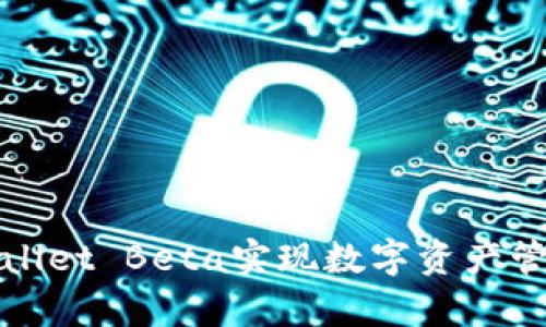 如何使用tpWallet Beta实现数字资产管理的最佳效果