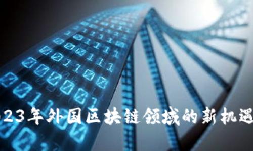 探索2023年外国区块链领域的新机遇与挑战