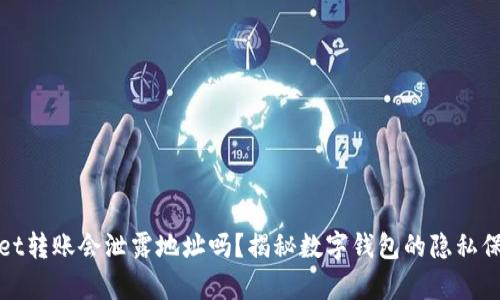 tpWallet转账会泄露地址吗？揭秘数字钱包的隐私保护机制