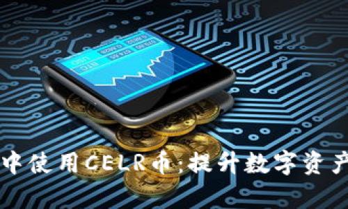如何在tpWallet中使用CELR币：提升数字资产管理的具体成果