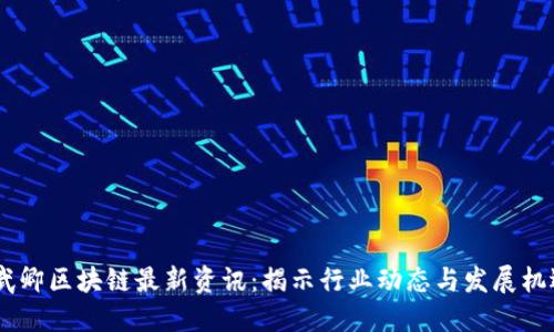 :武卿区块链最新资讯：揭示行业动态与发展机遇