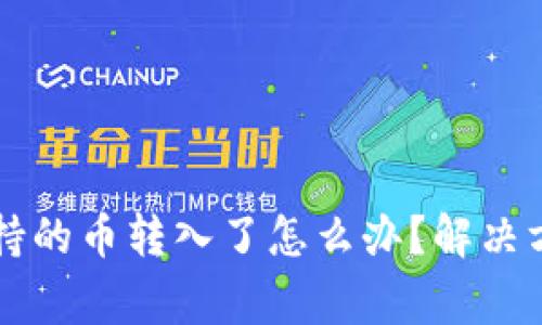 tpWallet不支持的币转入了怎么办？解决方法和注意事项