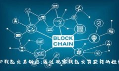 掌握TP钱包交易动态：通过观察钱包交易获得的投