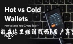 tpWallet：你真的能在这里赚到钱吗？用户真实体验