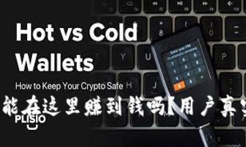 tpWallet：你真的能在这里赚到钱吗？用户真实体验与结果分析