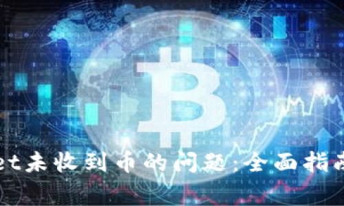 如何解决tpWallet未收到币的问题：全面指南和常见解决方案