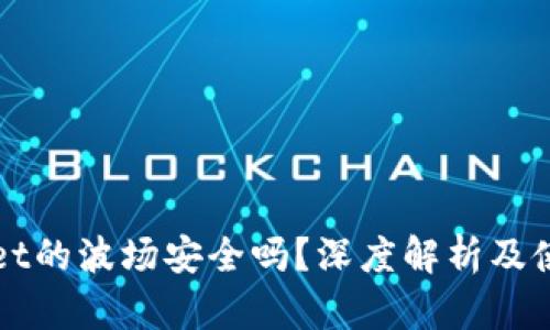 tpWallet的波场安全吗？深度解析及使用指南