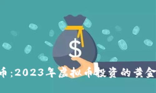 USC币：2023年虚拟币投资的黄金机会