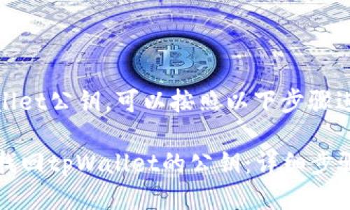 要找回tpWallet公钥，可以按照以下步骤进行。

### 如何找回tpWallet的公钥：详细步骤与注意事项