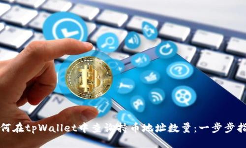 如何在tpWallet中查询持币地址数量：一步步指南