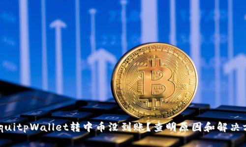 baequitpWallet转中币没到账？查明原因和解决方案！