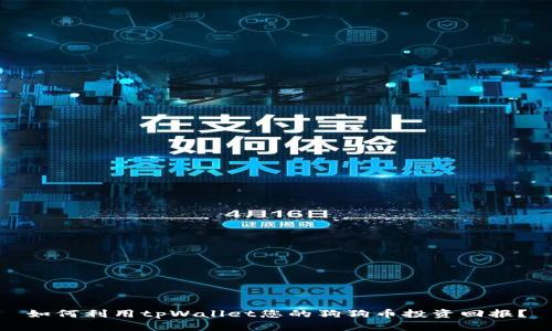 如何利用tpWallet您的狗狗币投资回报？