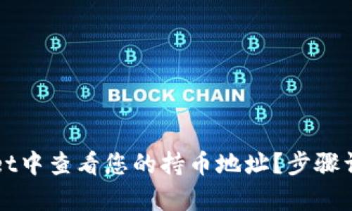 如何在tpWallet中查看您的持币地址？步骤详解与技巧分享