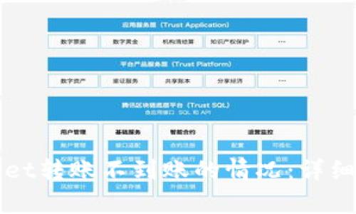 如何处理tpWallet转账不到账的情况：详细指南与解决方案
