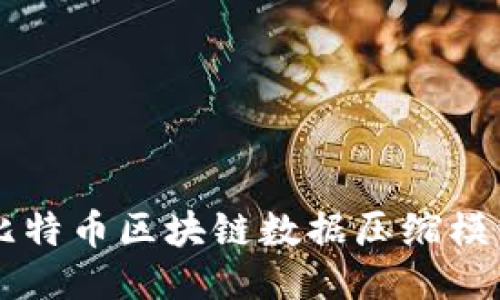 深入探讨比特币区块链数据压缩模型的与应用