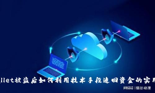 tpWallet被盗后如何利用技术手段追回资金的实用指南