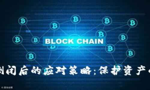 tpWallet倒闭后的应对策略：保护资产的重要步骤