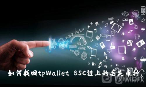如何找回tpWallet BSC链上的丢失币种