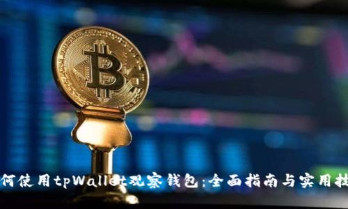 如何使用tpWallet观察钱包：全面指南与实用技巧