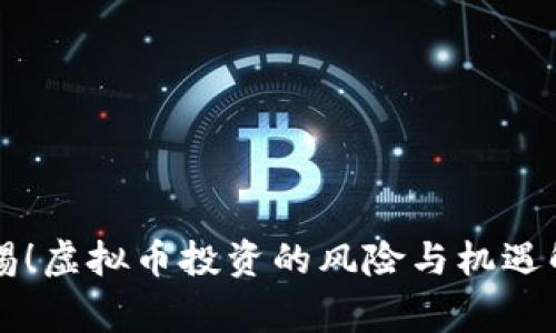 警惕！虚拟币投资的风险与机遇解析
