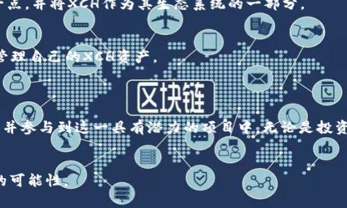 在TP Wallet上，XCH（Chia Network的原生代币）是基于Chia区块链的代币。Chia网络以其独特的“证明存储”共识机制而闻名，通过使用硬盘空间而不是传统的“证明工作”或“证明股份”机制来实现区块的生成和交易的确认。

1. Chia Network简介
Chia Network成立于2017年，是由比特币的前开发者Bram Cohen创建的。它旨在通过一种更加可持续和环保的方式来实现数字货币的使用。Chia的主要创新在于其共识算法，即“证明存储”（Proof of Space and Time）。这一机制允许用户通过提供闲置的硬盘空间来参与网络，其过程是通过“挖矿”来获得代币。

2. Chia的工作原理
与传统区块链不同，Chia并不需要大量的电力来维持网络。用户只需使用硬盘进行“种植”（Plotting），即提前准备好存储空间，用以存储“种子”（plot）。当网络中有新区块待确认时，用户通过存储的空间来竞争区块的生成。这种方式有效地减少了能源消耗，提升了区块链的可持续性。

3. TP Wallet的功能与优势
TP Wallet是一款多币种数字钱包，支持多种区块链资产的存储、转账和交易。它的用户界面友好，适合初学者使用。通过TP Wallet，用户可以轻松管理自己的XCH资产，进行交易或者参与DeFi项目。
TP Wallet的一大优势在于其安全性。它采用了多重加密技术，保护用户的私钥和资产安全。此外，TP Wallet还支持助记词恢复功能，确保用户在丢失设备时能够轻松找回资产。

4. XCH的应用场景
XCH的应用场景不仅限于交易。随着Chia网络的不断发展，越来越多的项目开始支持XCH作为支付手段。用户可以通过XCH参与去中心化金融（DeFi）协议、购买商品和服务，甚至涉足NFT领域。
此外，Chia还致力于推动绿色金融的发展，利用其低能耗的区块链技术，为可持续发展做出贡献。越来越多的企业和组织开始意识到这一点，并将XCH作为其生态系统的一部分。

5. 如何在TP Wallet上管理XCH
在TP Wallet上管理XCH非常简单。用户需要首先下载并安装TP Wallet应用。之后，通过创建新钱包或导入已有钱包，用户便可以开始管理自己的XCH资产。
在TP Wallet中，用户可以随时查看XCH的余额、交易记录，并进行转账操作。只需输入接收方的地址和转账金额，便可以轻松完成交易。

6. 结语
XCH作为Chia网络的核心代币，正在逐渐成为区块链领域的一股重要力量。通过TP Wallet，用户可以安全、便捷地管理自己的XCH资产，并参与到这一具有潜力的项目中。无论是投资还是探索新兴的应用场景，XCH都提供了丰富的机会。
随着区块链技术的不断演进，Chia网络和XCH的未来将更加光明。用户在参与的同时，也在为推动更可持续的金融体系贡献力量。

通过以上内容，我们进一步了解了XCH在TP Wallet上的应用及其背后的Chia网络。这个信息丰富的时代，让我们有机会去探索许多新的可能性。