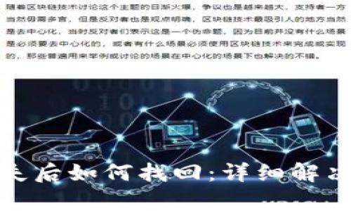 tp冷钱包丢失后如何找回：详细解决方案与建议