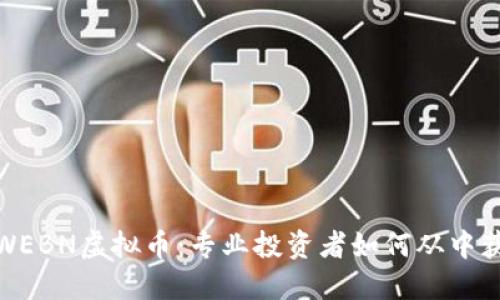 : WEBN虚拟币：专业投资者如何从中获益