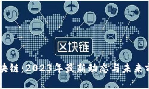 星泰区块链：2023年最新动态与未来前景分析