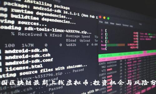 中国区块链最新上线虚拟币：投资机会与风险分析