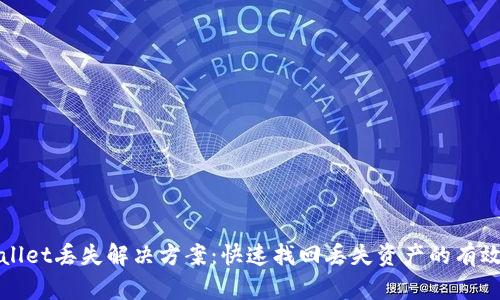 tpWallet丢失解决方案：快速找回丢失资产的有效方法