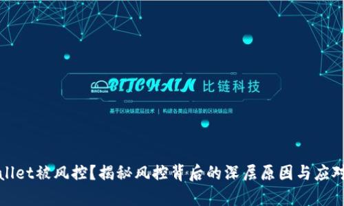 tpWallet被风控？揭秘风控背后的深层原因与应对策略