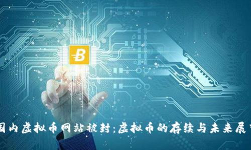 国内虚拟币网站被封：虚拟币的存续与未来展望