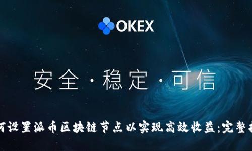 如何设置派币区块链节点以实现高效收益：完整指南
