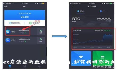 tpWallet崩溃后的数据恢复指南：如何找回你的加密资产