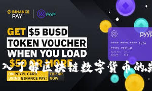 比特币：深入了解区块链数字货币的先锋与未来