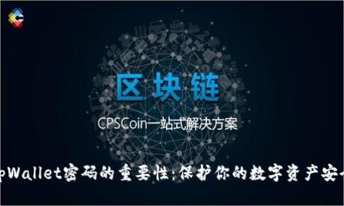 tpWallet密码的重要性：保护你的数字资产安全