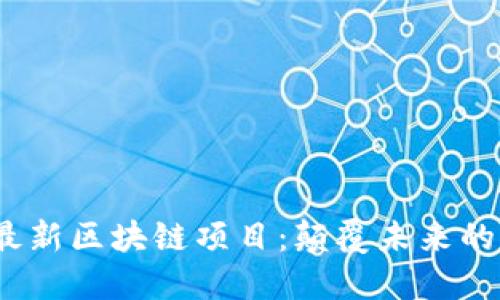2023年最新区块链项目：颠覆未来的创新之路