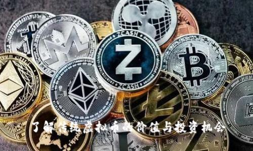 了解传统虚拟币的价值与投资机会